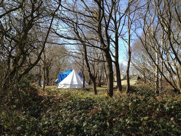 Dreamy Hollow Woodland Campsite and WW1 Trenches