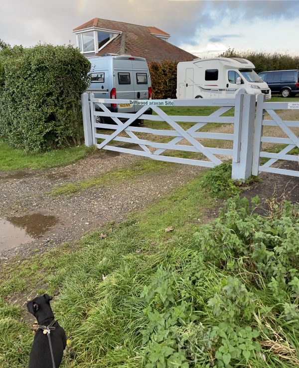 Driftwood Certificated Site