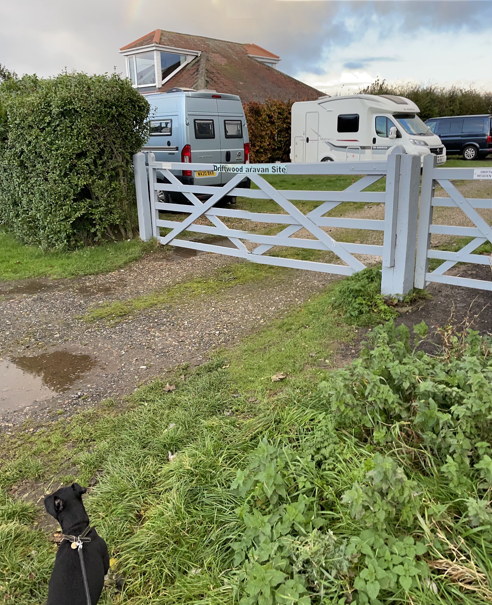 Driftwood Certificated Site