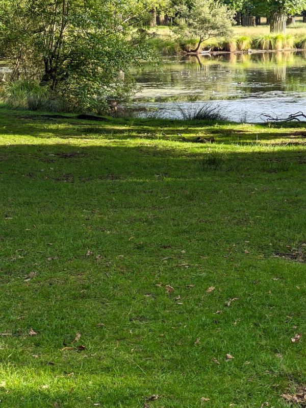 Dunham Park Scout Camp