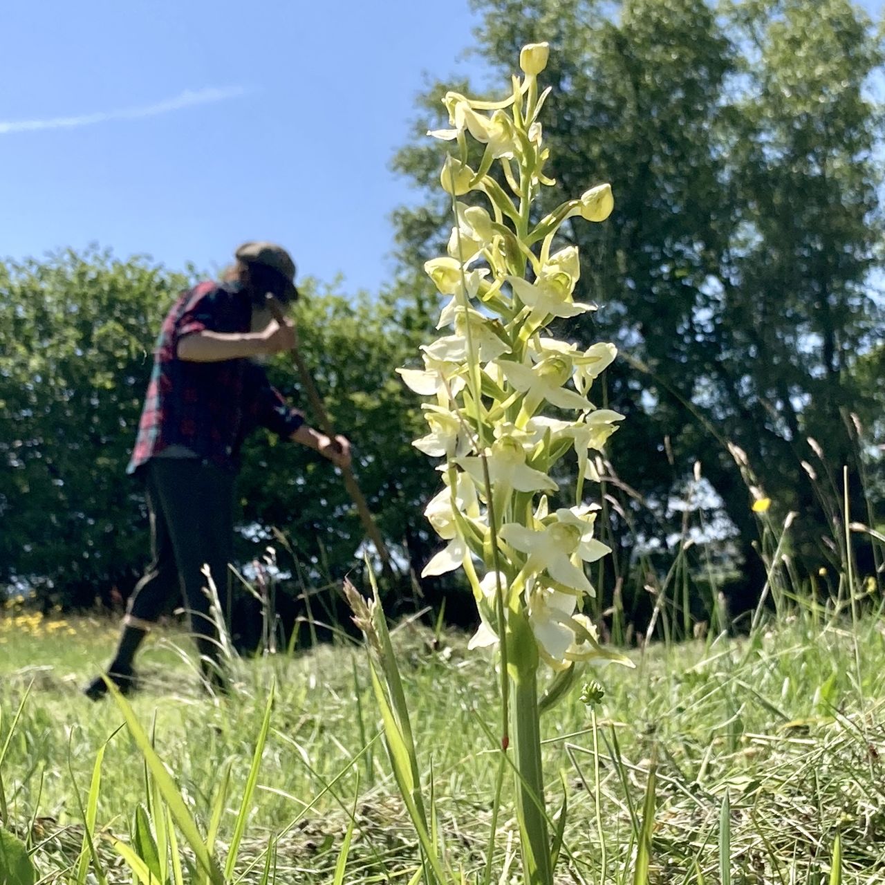 Dyfed Permaculture Farm Trust