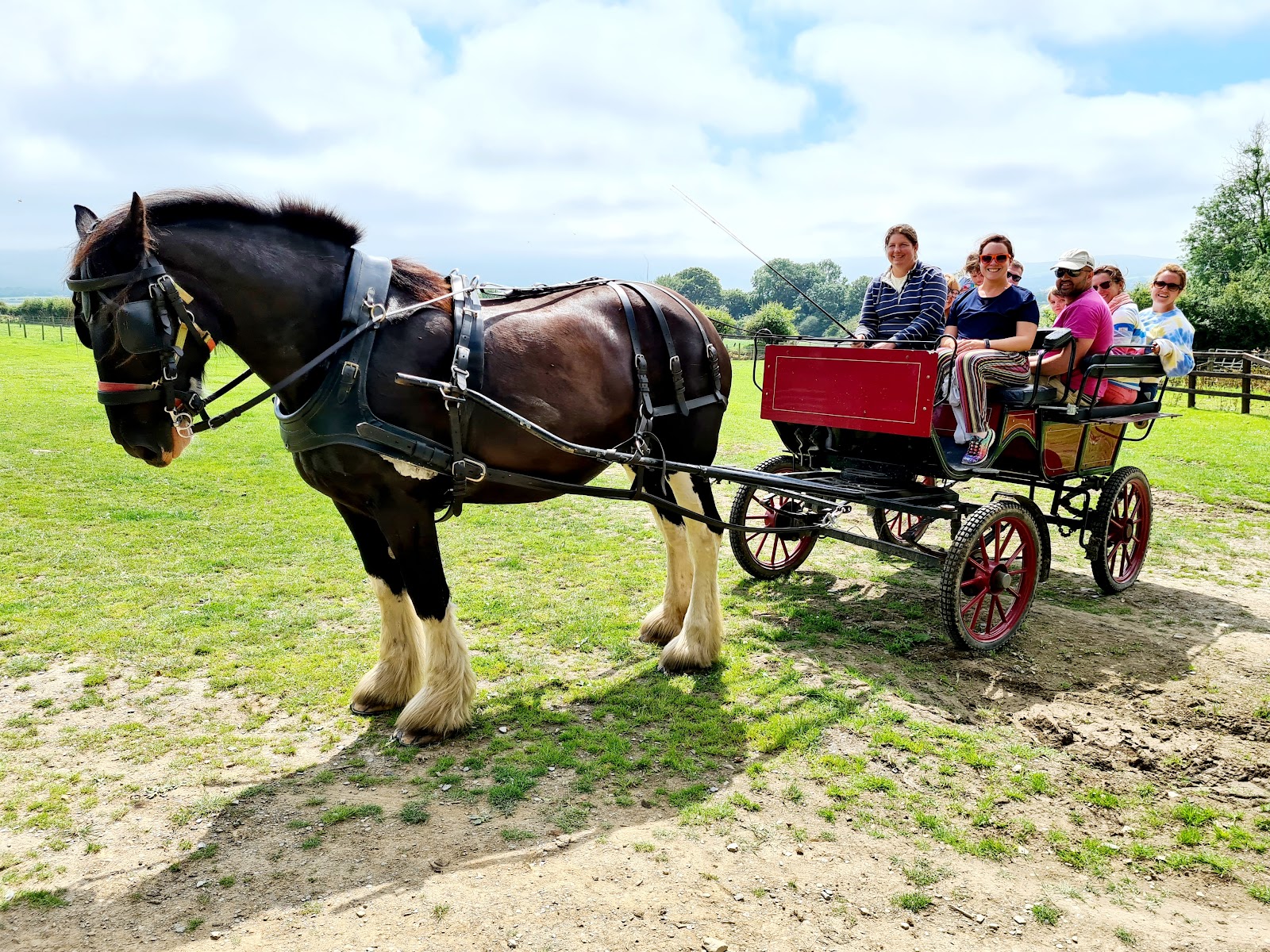 Dyfed Shire Horse Farm