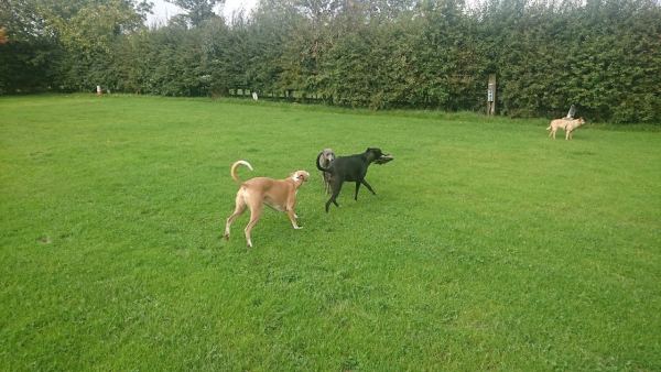 Dyke Bottom Farm Caravan Site