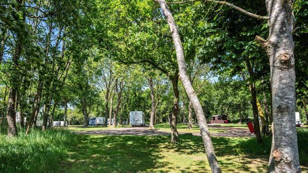 Ebury Hill Camping and Caravanning Club Site