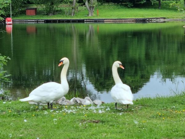 Ellerton Park Caravan Site