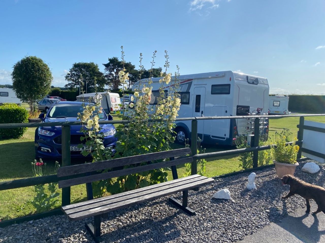 Elm Cottage Touring Park