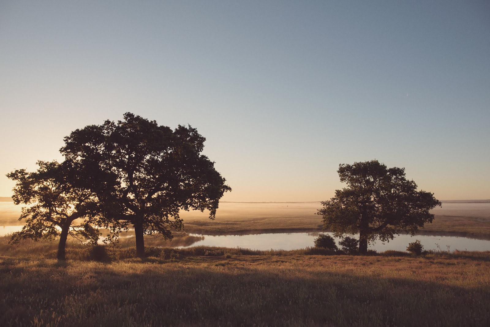 Elmley Nature Reserve