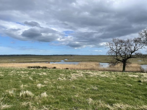 Elmley Nature Reserve