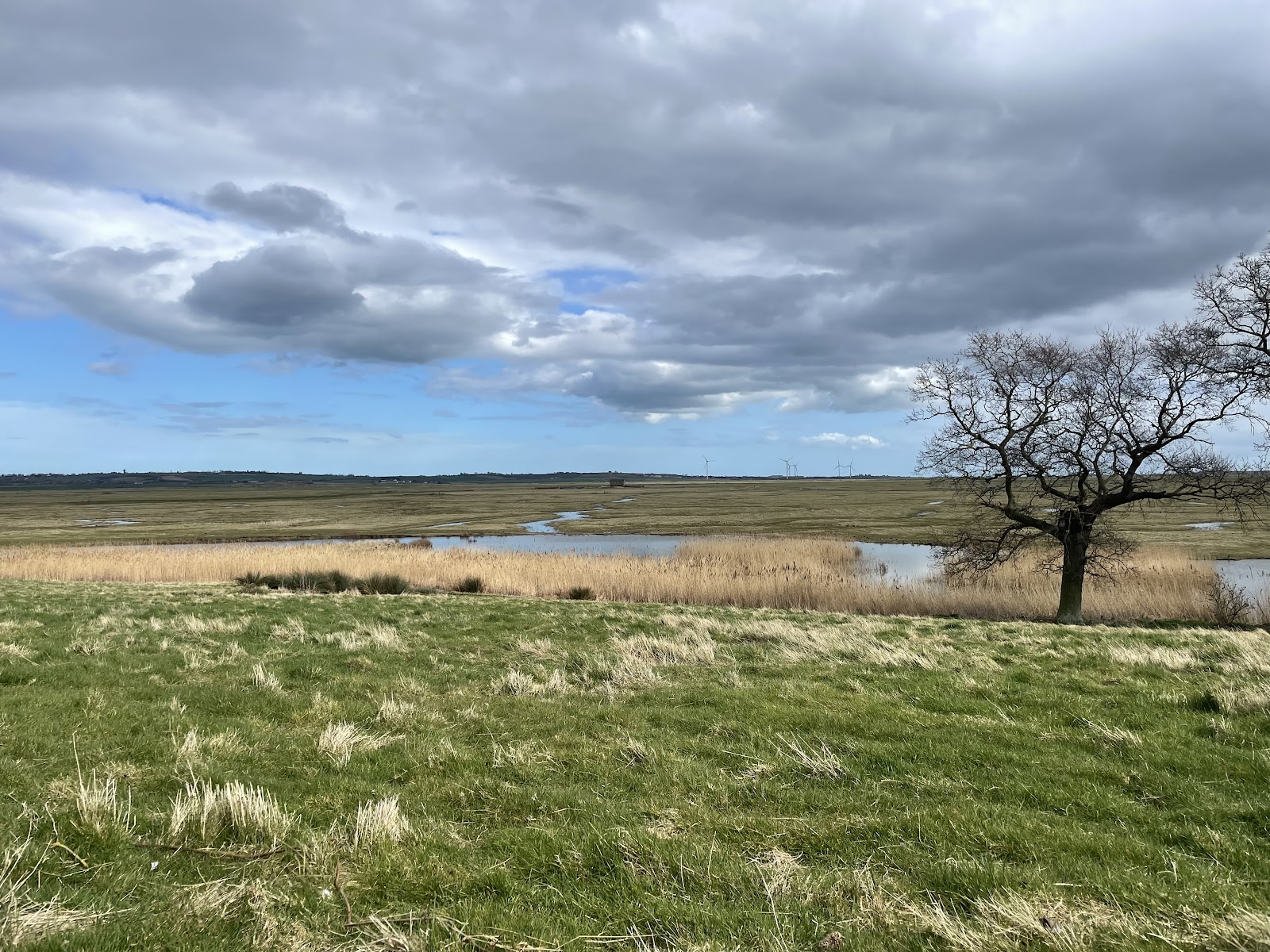 Elmley Nature Reserve