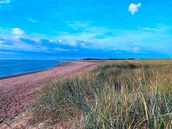 Estuary View Escapes