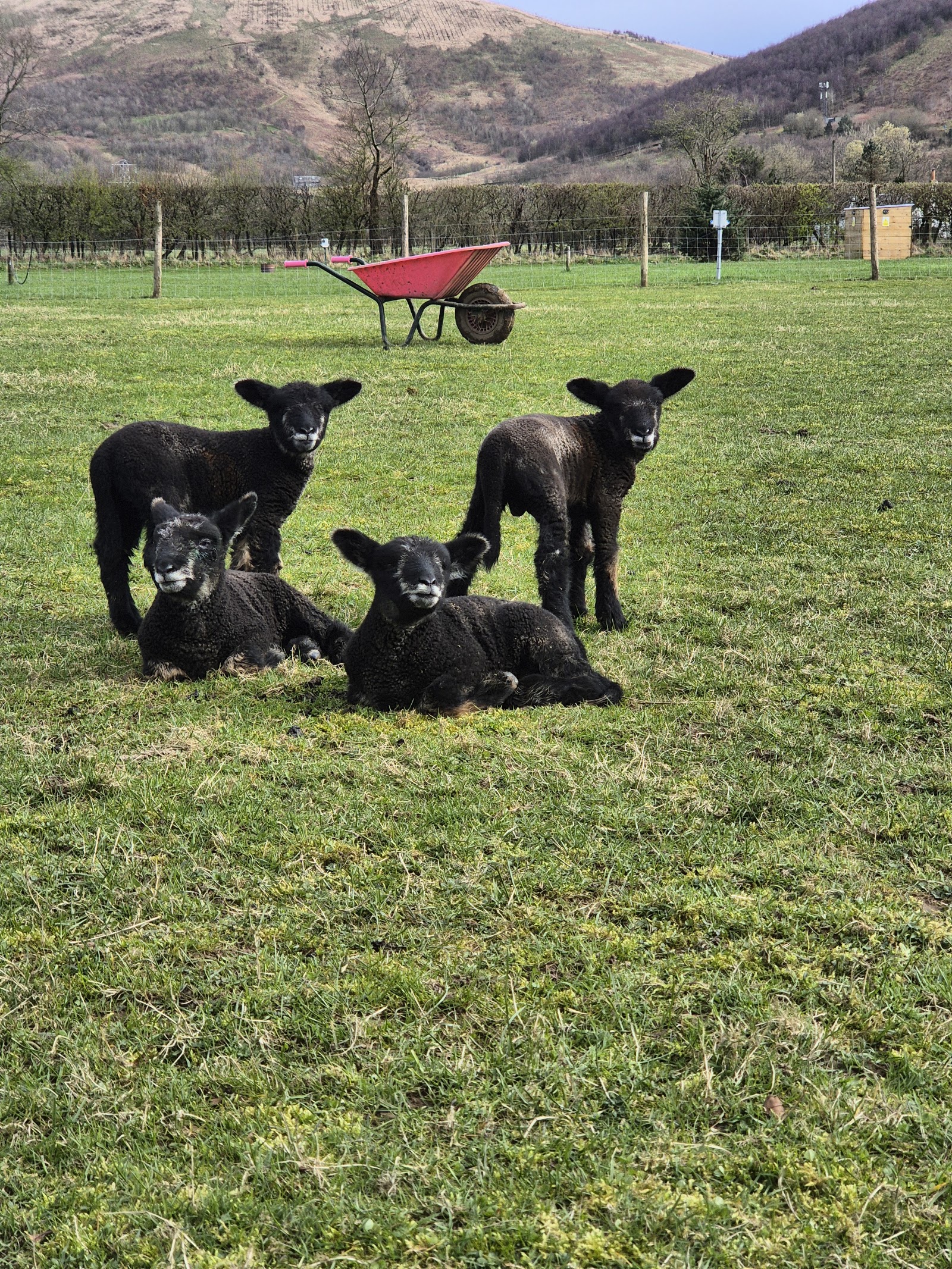 Ewes Water Caravan and Camping Park