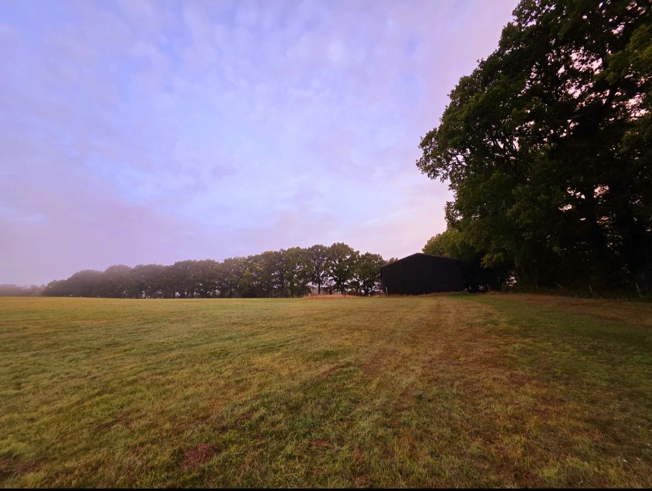 Eyelid Farm