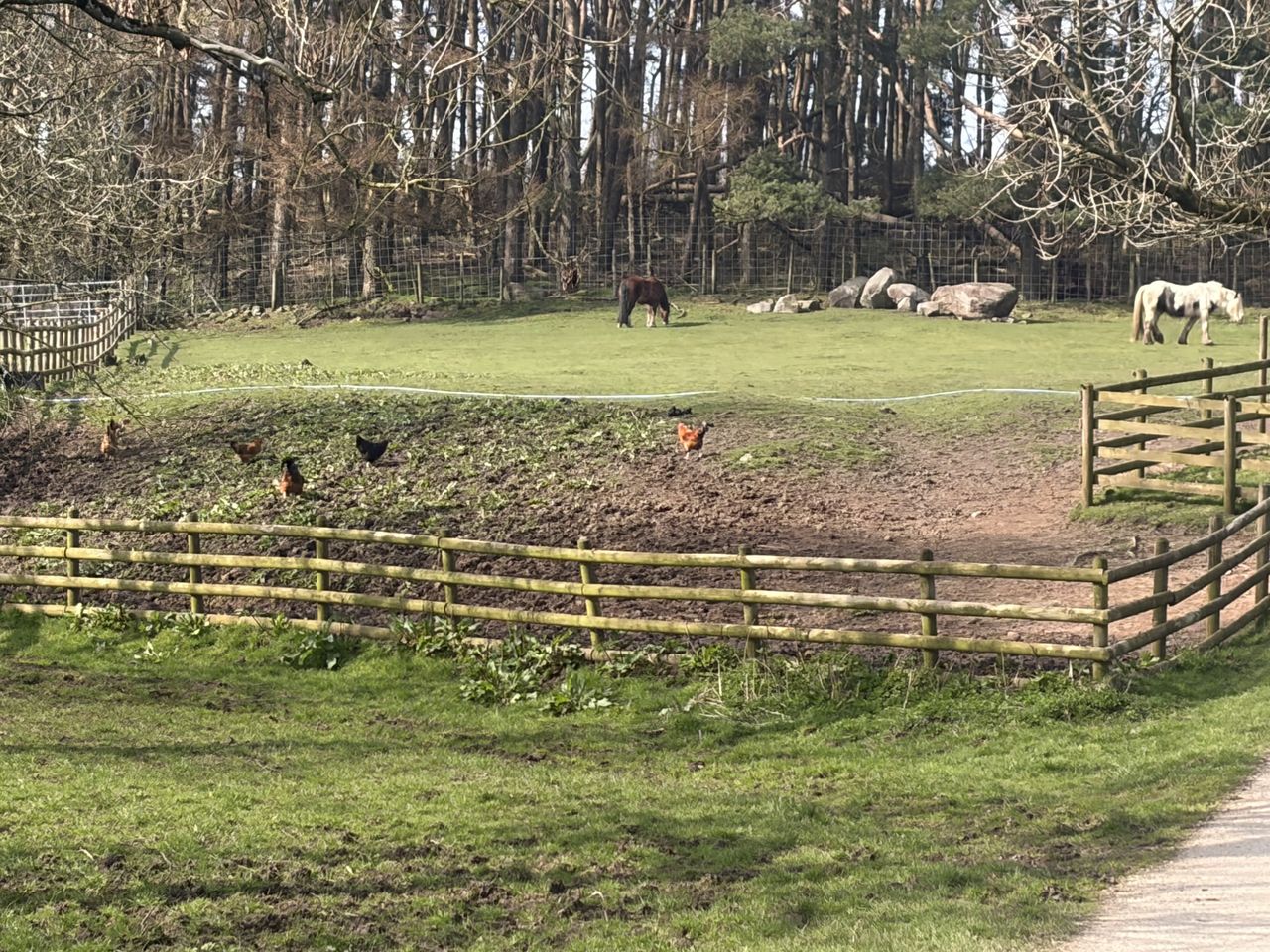 Fairboroughs Farm Caravan Site
