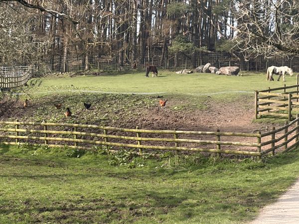 Fairboroughs Farm Caravan Site