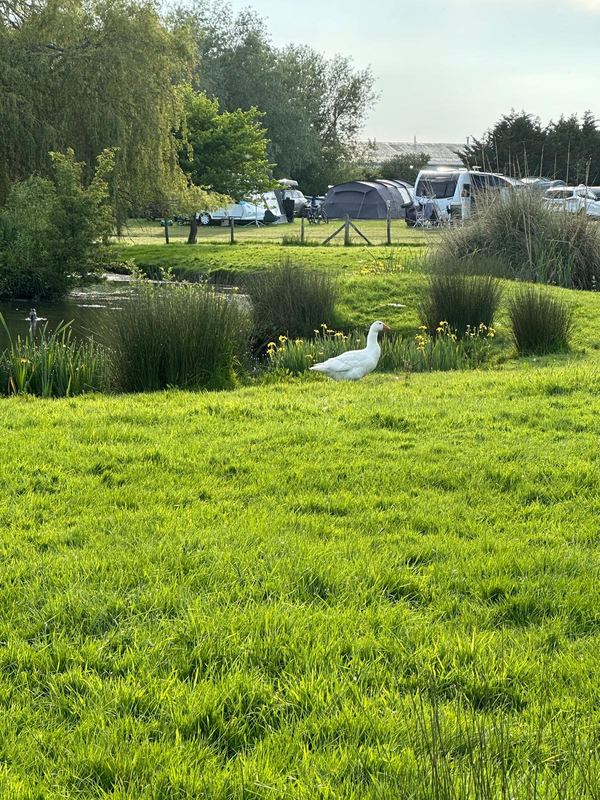 Fairfields Farm Caravan and Camping Park