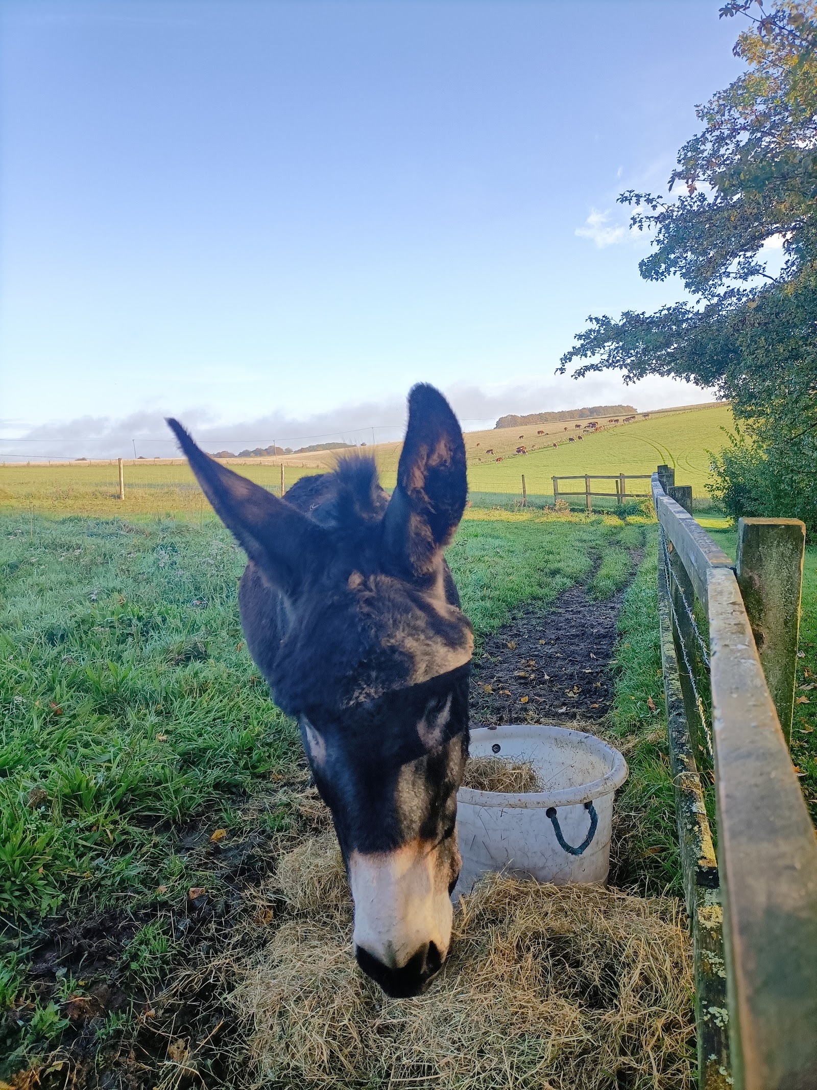 Farncombe Farm Certificated Site