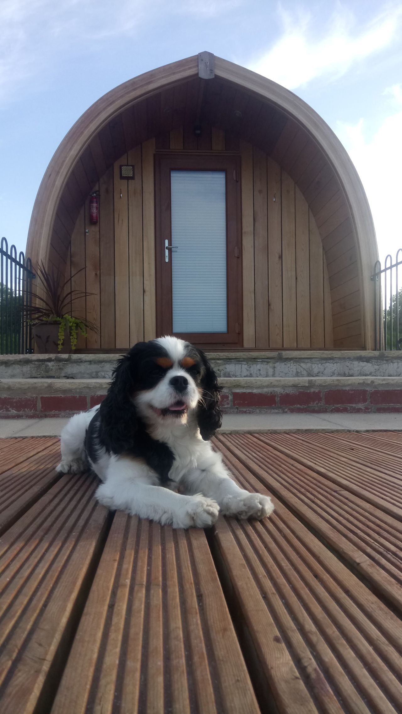 Fellhill Pods