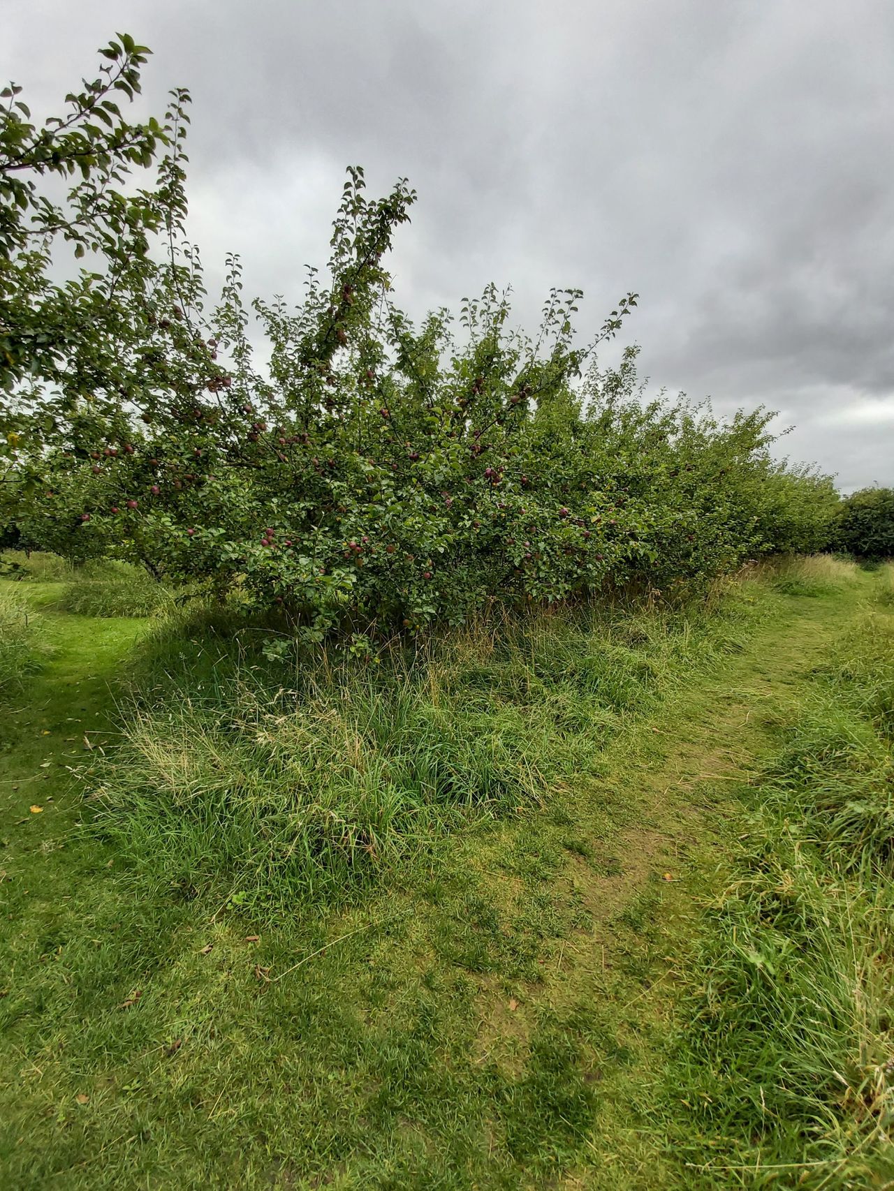 Fen End Farm