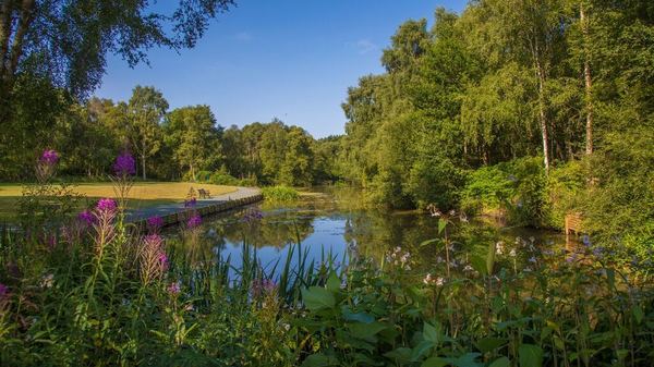 Fernwood Caravan Park