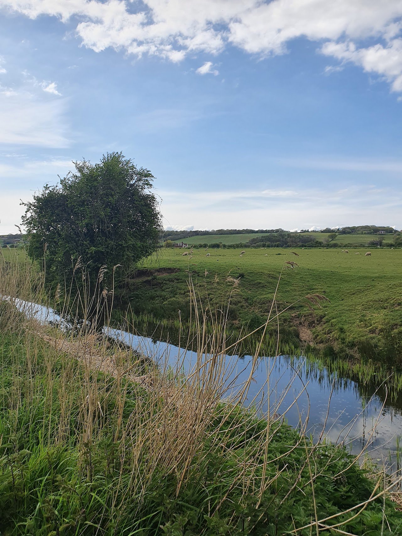 Ferryfields Holiday Park