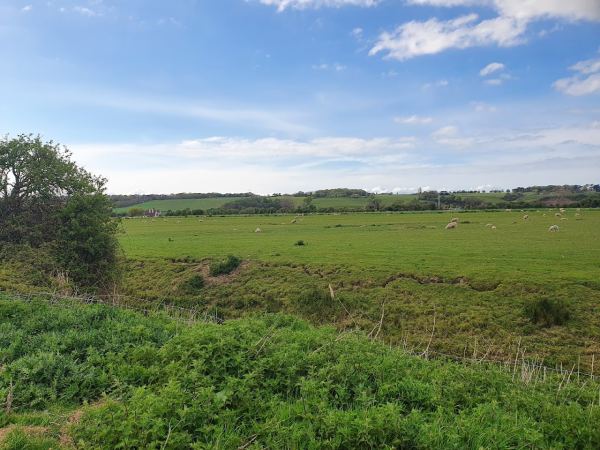 Ferryfields Holiday Park