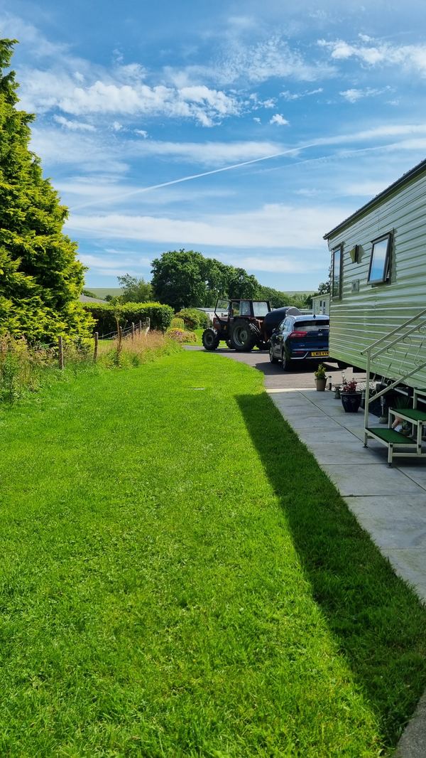 Ffoshelyg Woodland Camping