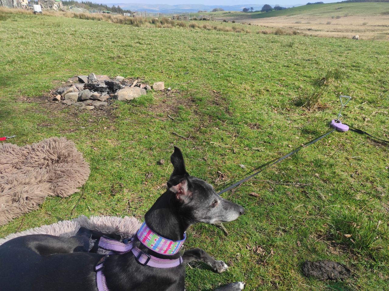 Ffynnonwen Farm Wild Camping