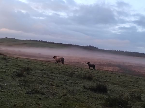 Ffynnonwen Farm Wild Camping
