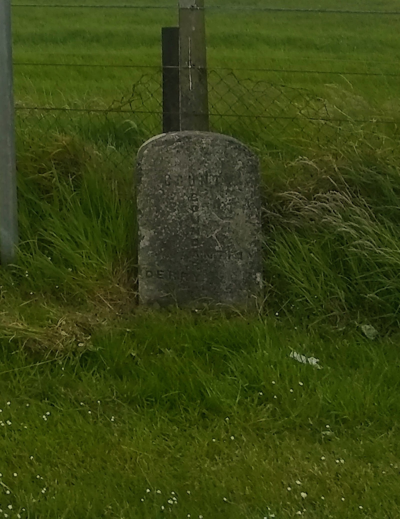 Field 17 at Gateside Road