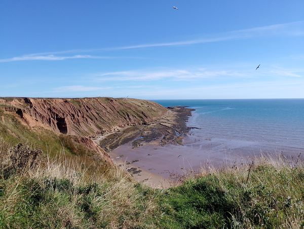 Filey Brigg Country Park Camping and Caravan Site