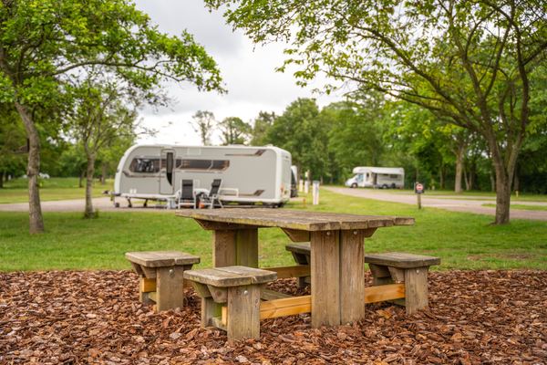 Fineshade Wood Campsite