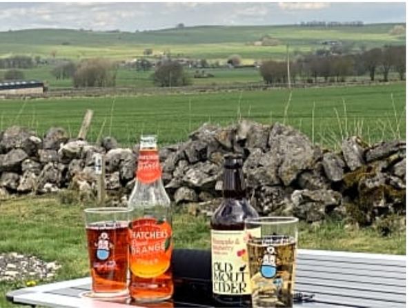 Flagg View