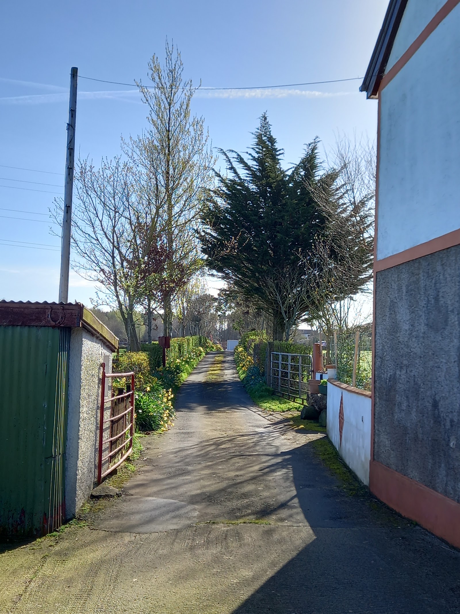 Ford Farm
