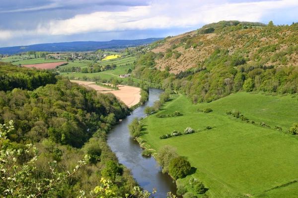 Forest and Wye Valley Camping