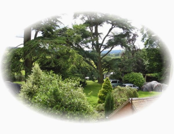 Forest Gate