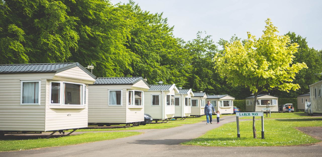 Forest Glade Holiday Park