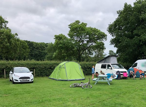 Forest View Camping