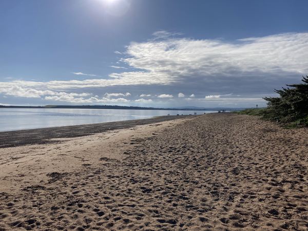 Fortrose Bay Campsite