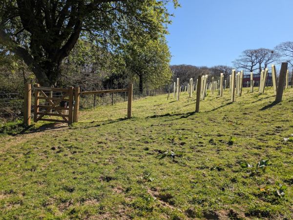 Fosfelle Country House Certificated Location