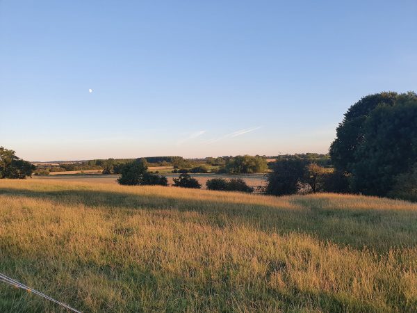 Fotheringhay Castle Farm Site