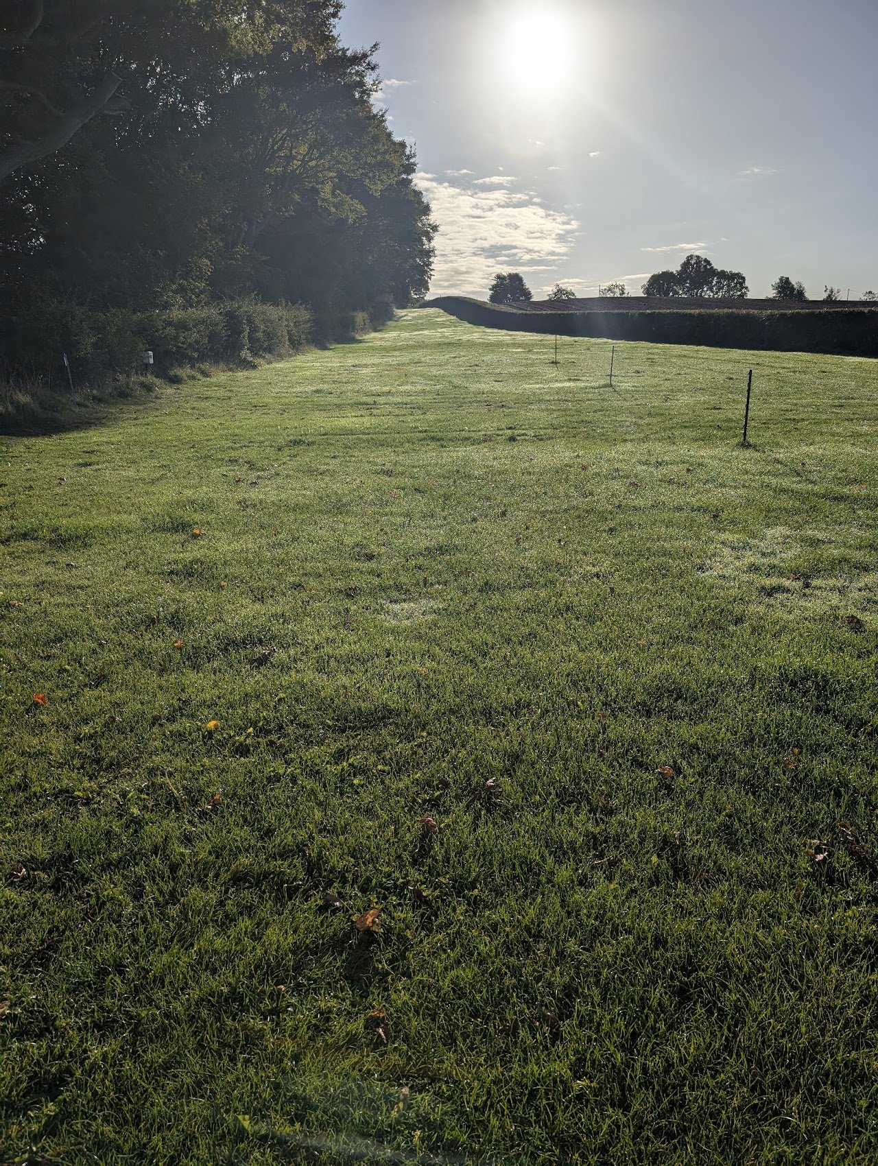 Foulden Hagg