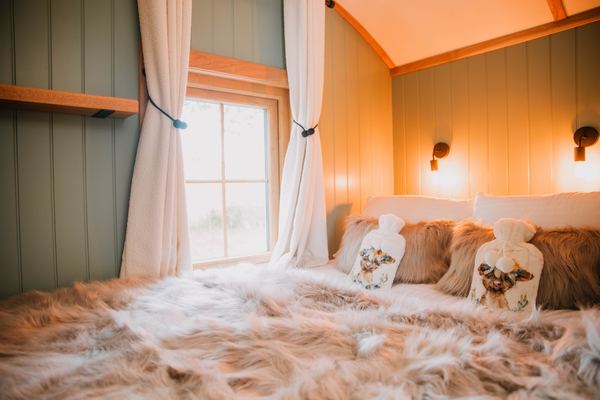 Four Paws Glamping