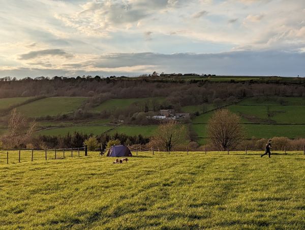 Fox Hagg Farm
