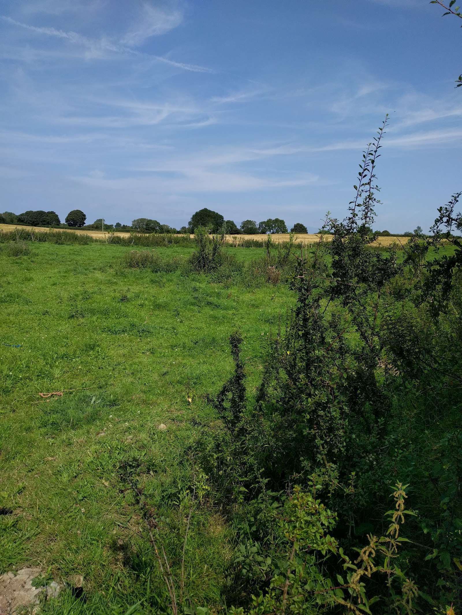 Fron Farm Country Holiday Park