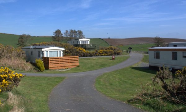 Galloway Point Holiday Park