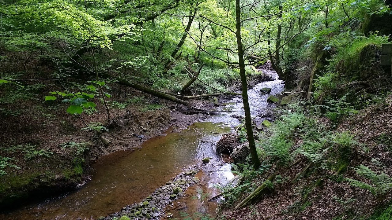 Gelderwood Country Park