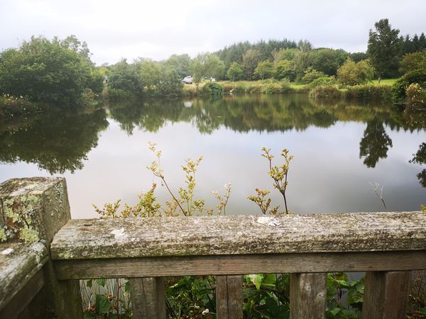 Ginger Hill