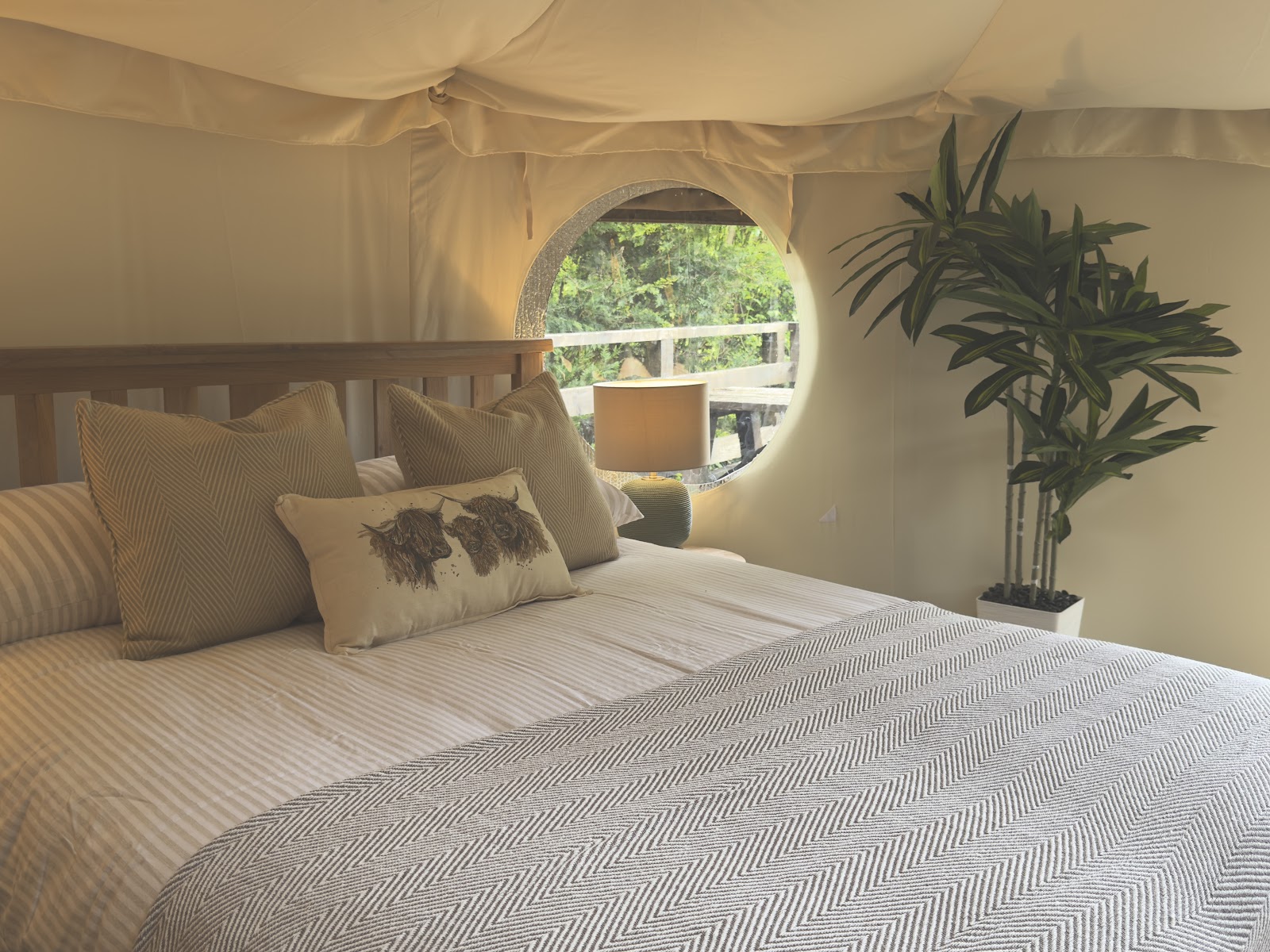 Glamping in Llanberis