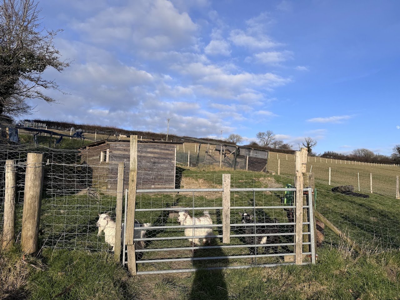 Glamping Pods Wales