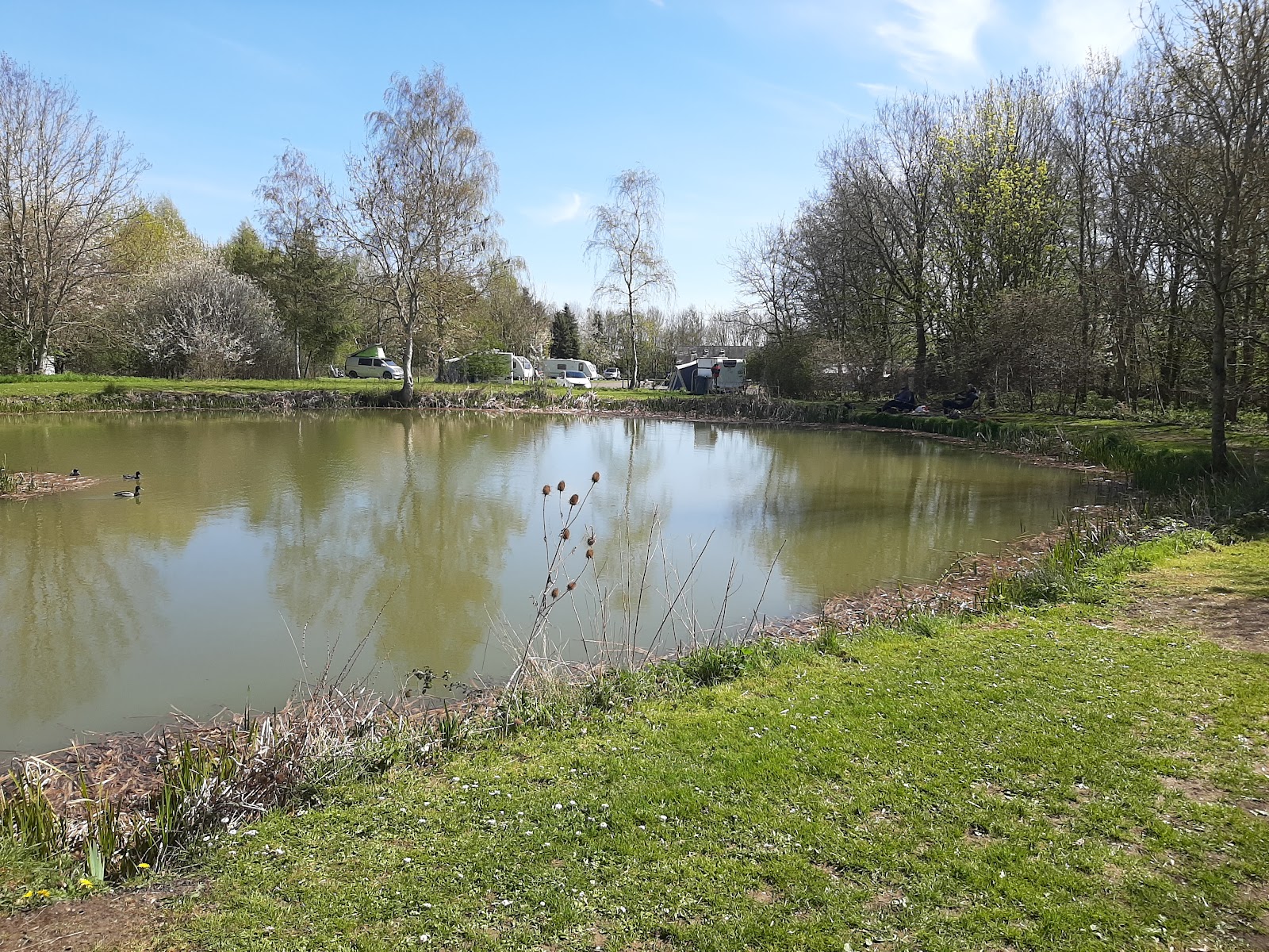 Glebe Leisure
